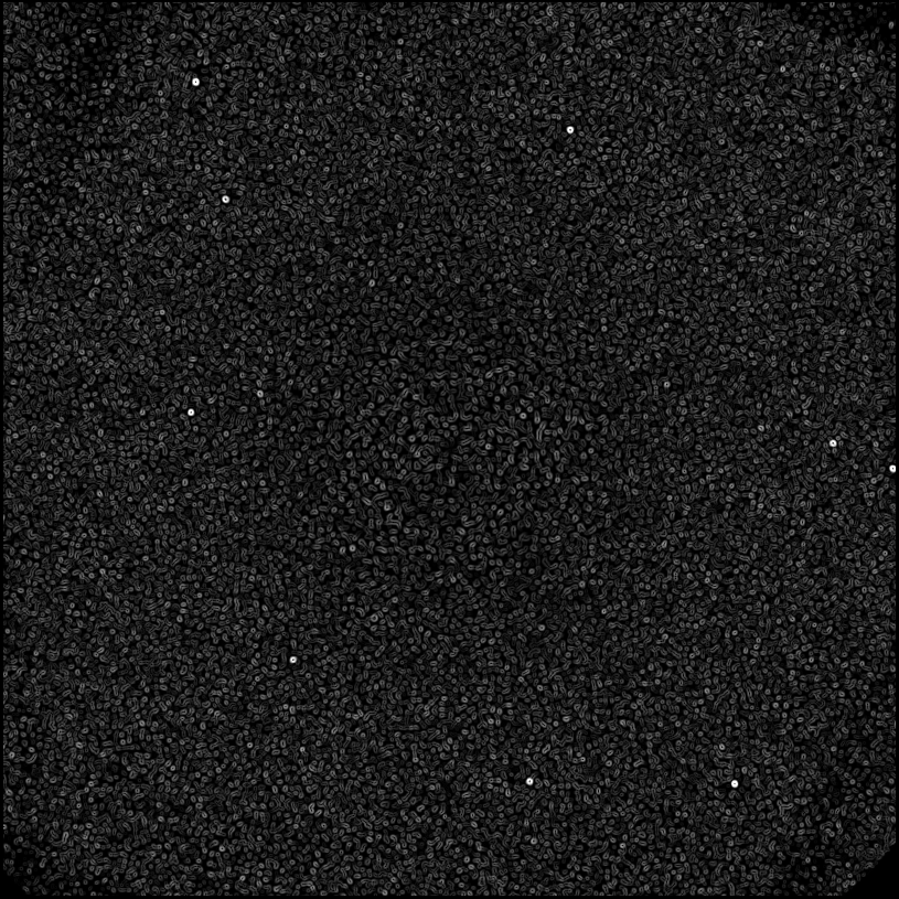 ../../../data/stamps/snr_learning/randomize_51Eri_1Mjup/map_grad_l0_randomize_51Eri_1Mjup.jpg