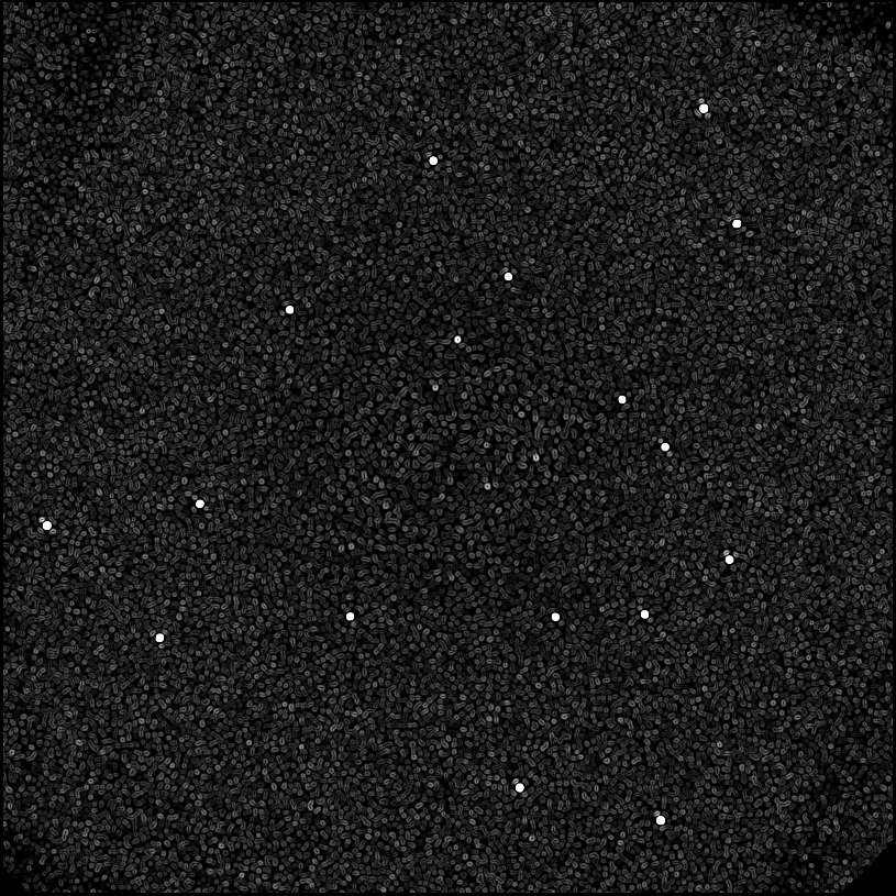 ../../../data/stamps/snr_learning/randomize_51Eri_2Mjup/map_grad_l0_randomize_51Eri_2Mjup.jpg