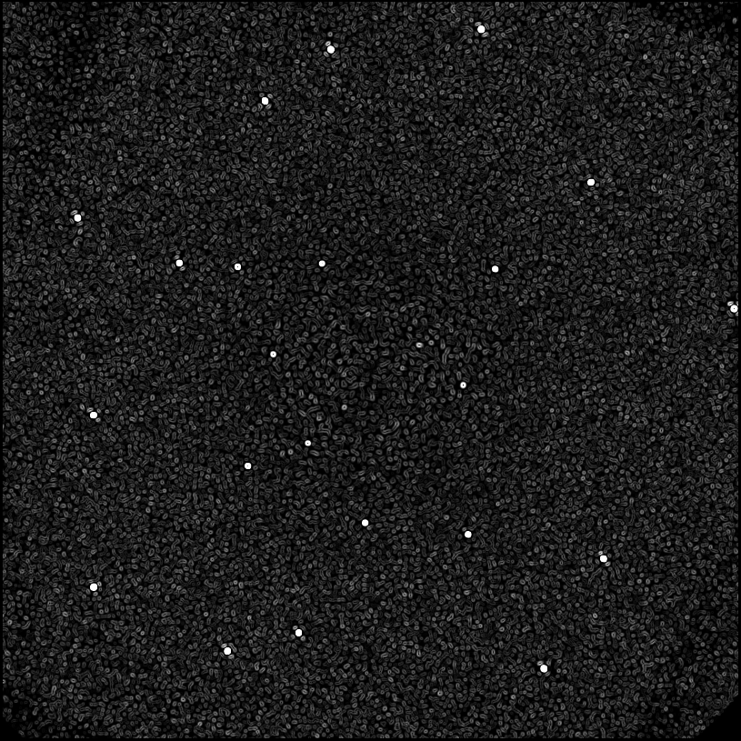 ../../../data/stamps/snr_learning/randomize_51Eri_2Mjup_2/map_grad_l0_randomize_51Eri_2Mjup_2.jpg