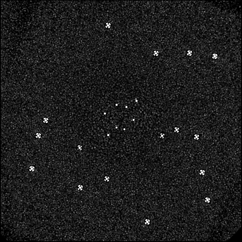 ../../../data/stamps/snr_learning/randomize_51Eri_4Mjup/map_grad_l0_randomize_51Eri_4Mjup.jpg