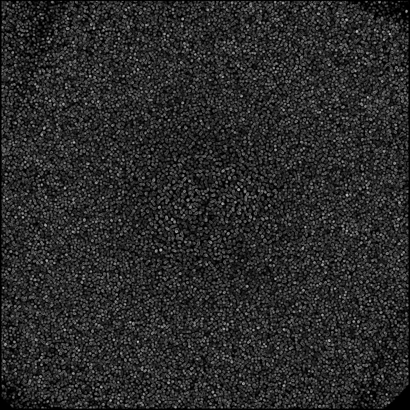 ../../../data/stamps/snr_learning/randomize_51Eri_noise_only/map_grad_l0_randomize_51Eri_noise_only.jpg
