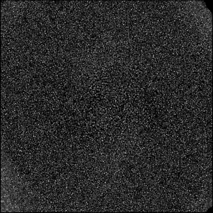 ../../../data/stamps/snr_learning/randomize_HD108767B_2Mjup_1/map_grad_l0_randomize_HD108767B_2Mjup_1.jpg
