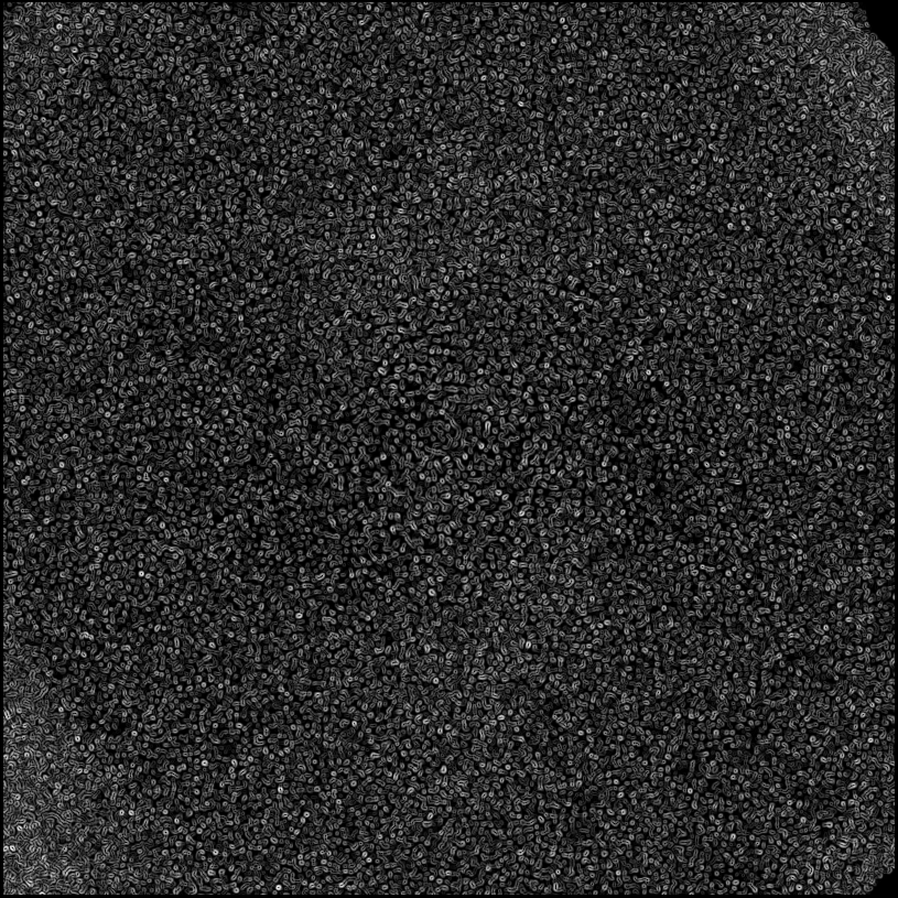 ../../../data/stamps/snr_learning/randomize_HD108767B_2Mjup_3/map_grad_l0_randomize_HD108767B_2Mjup_3.jpg