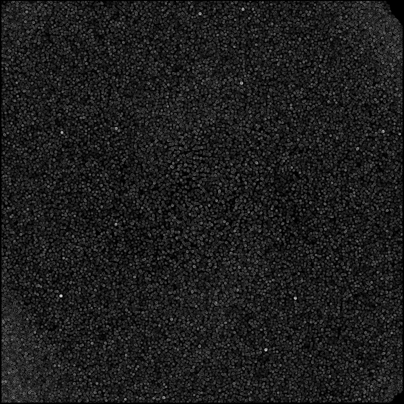 ../../../data/stamps/snr_learning/randomize_HD108767B_3Mjup/map_grad_l0_randomize_HD108767B_3Mjup.jpg
