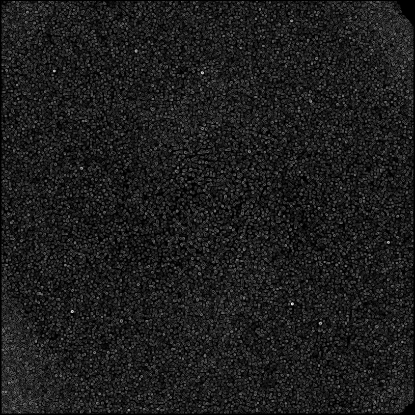 ../../../data/stamps/snr_learning/randomize_HD108767B_3Mjup_1/map_grad_l0_randomize_HD108767B_3Mjup_1.jpg