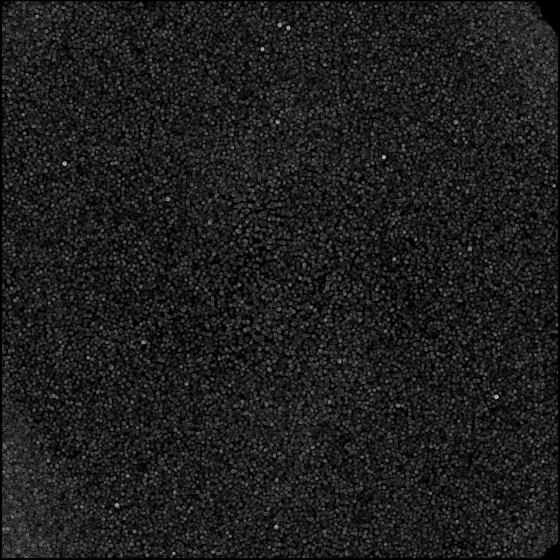 ../../../data/stamps/snr_learning/randomize_HD108767B_3Mjup_3/map_grad_l0_randomize_HD108767B_3Mjup_3.jpg