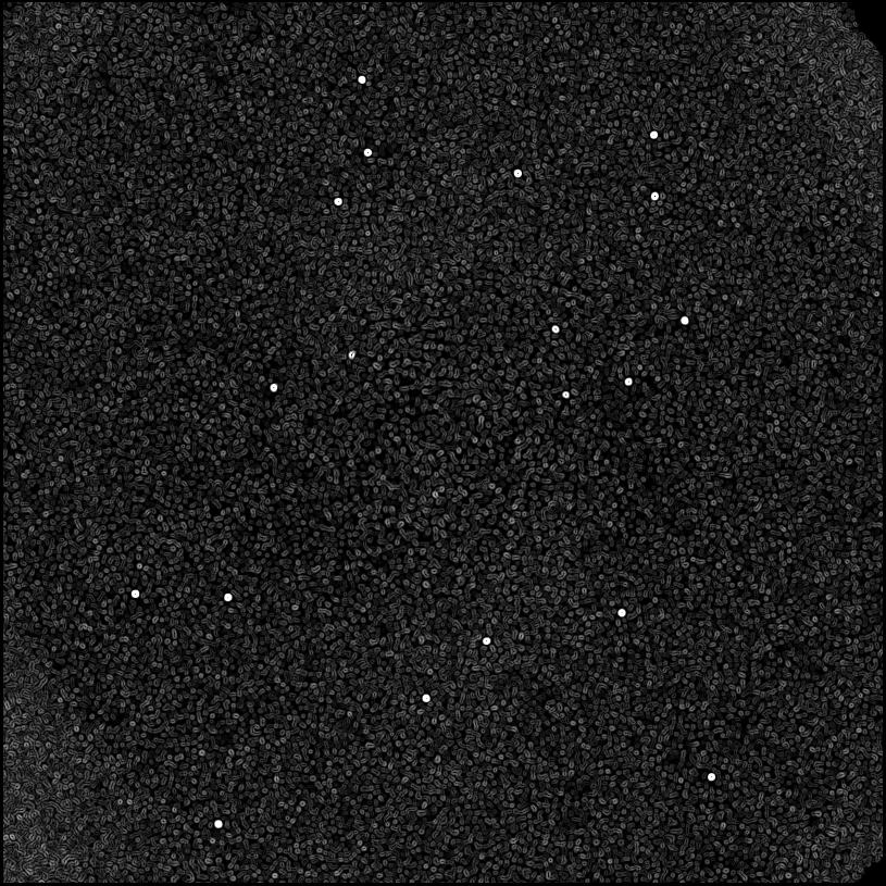 ../../../data/stamps/snr_learning/randomize_HD108767B_4Mjup/map_grad_l0_randomize_HD108767B_4Mjup.jpg