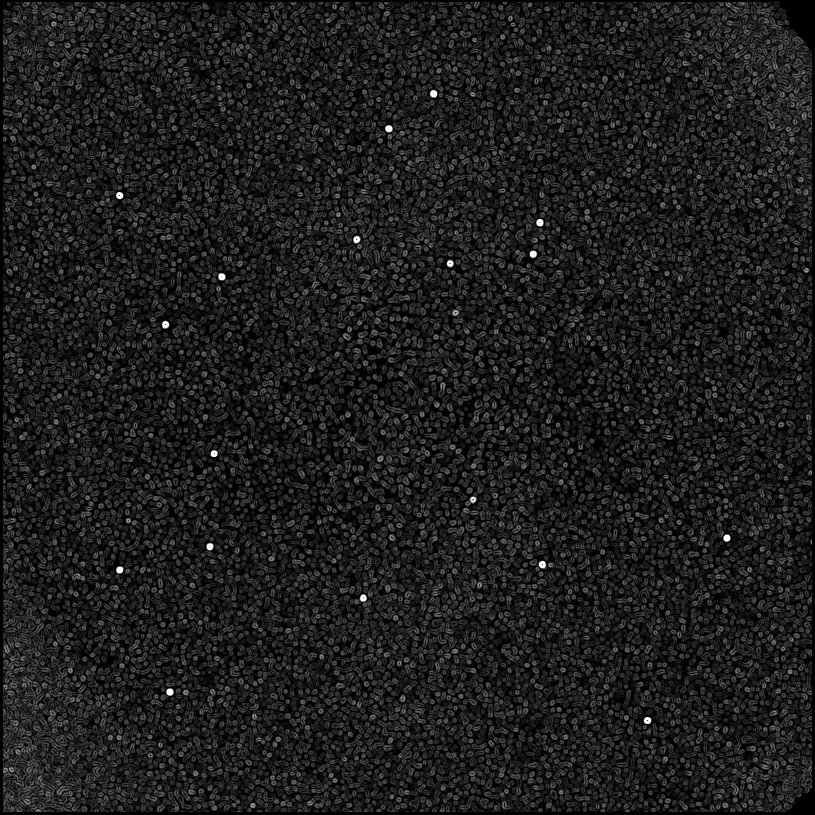 ../../../data/stamps/snr_learning/randomize_HD108767B_4Mjup_1/map_grad_l0_randomize_HD108767B_4Mjup_1.jpg