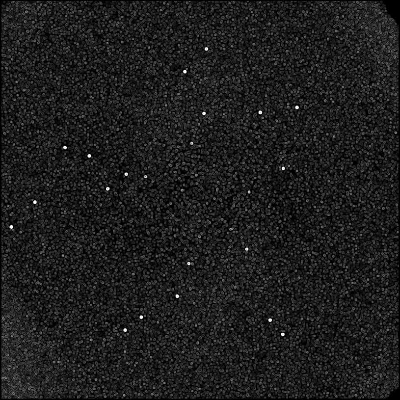 ../../../data/stamps/snr_learning/randomize_HD108767B_4Mjup_3/map_grad_l0_randomize_HD108767B_4Mjup_3.jpg