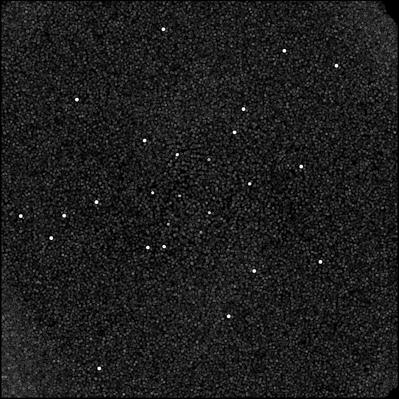 ../../../data/stamps/snr_learning/randomize_HD108767B_5Mjup/map_grad_l0_randomize_HD108767B_5Mjup.jpg
