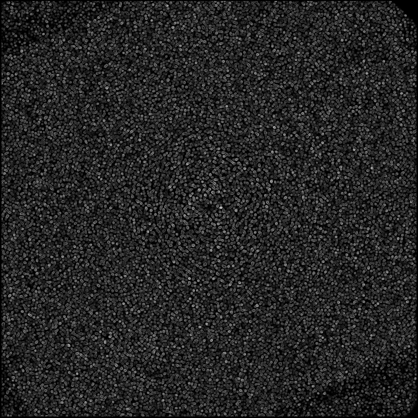 ../../../data/stamps/snr_learning/randomize_HIP12394_1Mjup/map_grad_l0_randomize_HIP12394_1Mjup.jpg