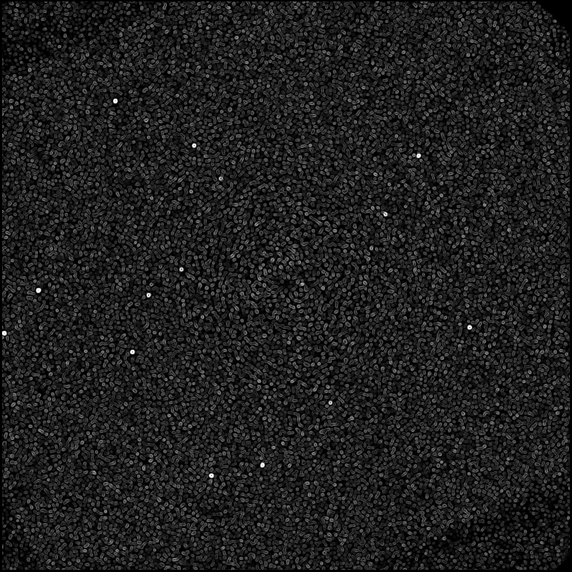 ../../../data/stamps/snr_learning/randomize_HIP12394_2Mjup_1/map_grad_l0_randomize_HIP12394_2Mjup_1.jpg
