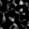 Stamp201341_D-1_L00_845_777