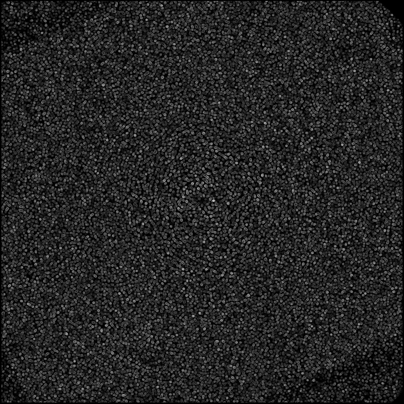 ../../../data/stamps/snr_learning/randomize_HIP12394_noise_only/map_grad_l0_randomize_HIP12394_noise_only.jpg