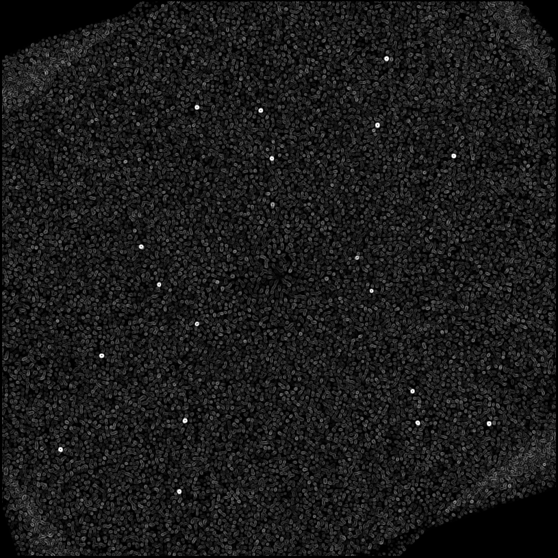 ../../../data/stamps/snr_learning/randomize_HIP1993_2Mjup/map_grad_l0_randomize_HIP1993_2Mjup.jpg