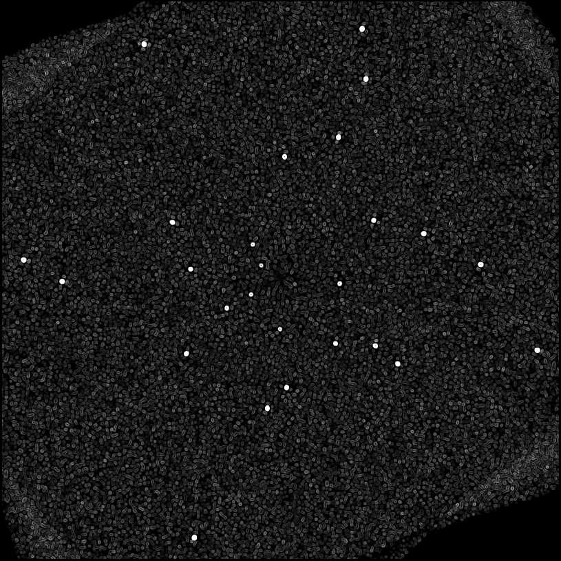 ../../../data/stamps/snr_learning/randomize_HIP1993_3Mjup/map_grad_l0_randomize_HIP1993_3Mjup.jpg