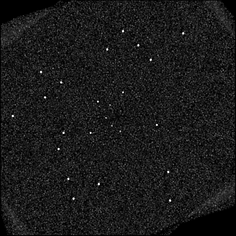 ../../../data/stamps/snr_learning/randomize_HIP1993_3Mjup_1/map_grad_l0_randomize_HIP1993_3Mjup_1.jpg