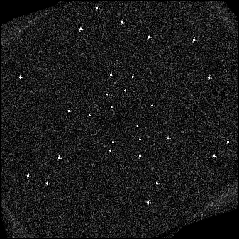 ../../../data/stamps/snr_learning/randomize_HIP1993_4Mjup_1/map_grad_l0_randomize_HIP1993_4Mjup_1.jpg