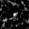 Stamp217270_D-1_L00_841_639