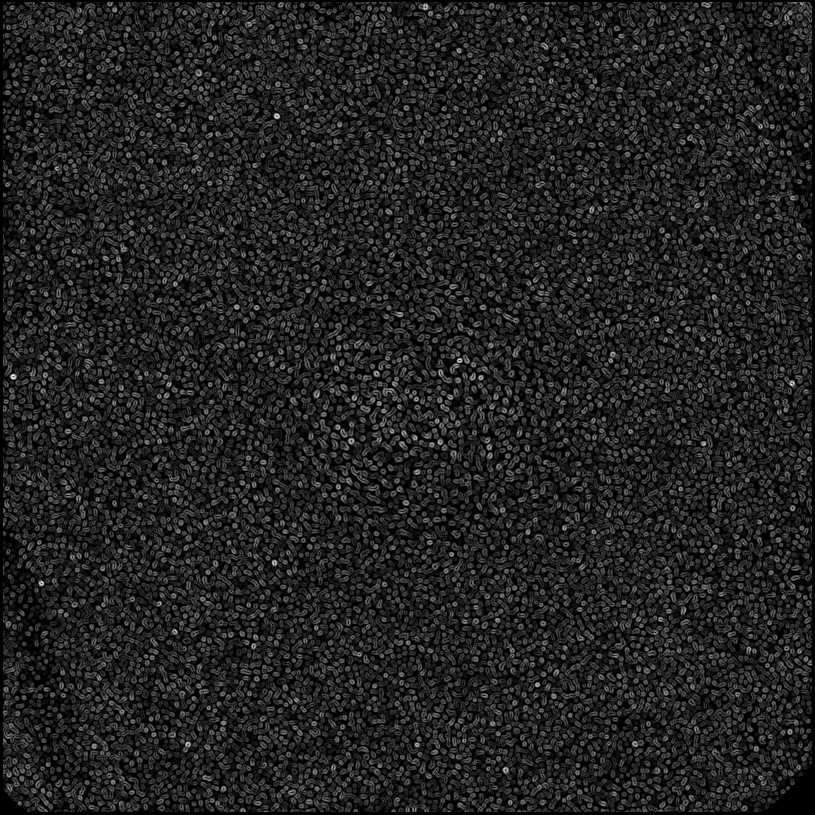 ../../../data/stamps/snr_learning/randomize_HIP21547_20151225_1Mjup/map_grad_l0_randomize_HIP21547_20151225_1Mjup.jpg