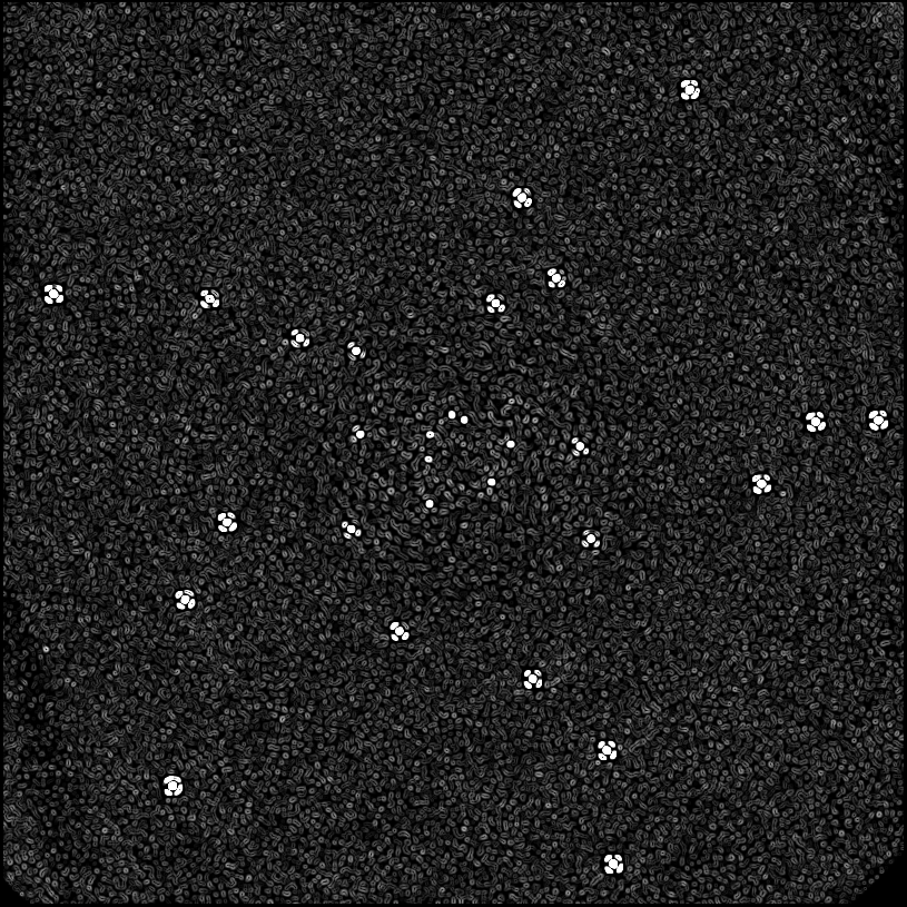 ../../../data/stamps/snr_learning/randomize_HIP21547_20151225_5Mjup/map_grad_l0_randomize_HIP21547_20151225_5Mjup.jpg