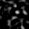 Stamp154248_D-1_L00_775_770