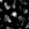 Stamp154249_D-1_L00_667_689
