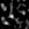 Stamp154249_D-1_L00_667_689