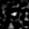 Stamp154254_D-1_L00_733_658