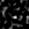 Stamp154254_D-1_L00_733_658