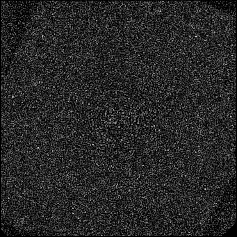 ../../../data/stamps/snr_learning/randomize_HIP21547_20160115_1Mjup/map_grad_l0_randomize_HIP21547_20160115_1Mjup.jpg