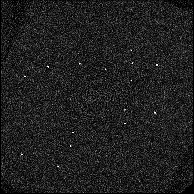 ../../../data/stamps/snr_learning/randomize_HIP21547_20160115_2Mjup/map_grad_l0_randomize_HIP21547_20160115_2Mjup.jpg