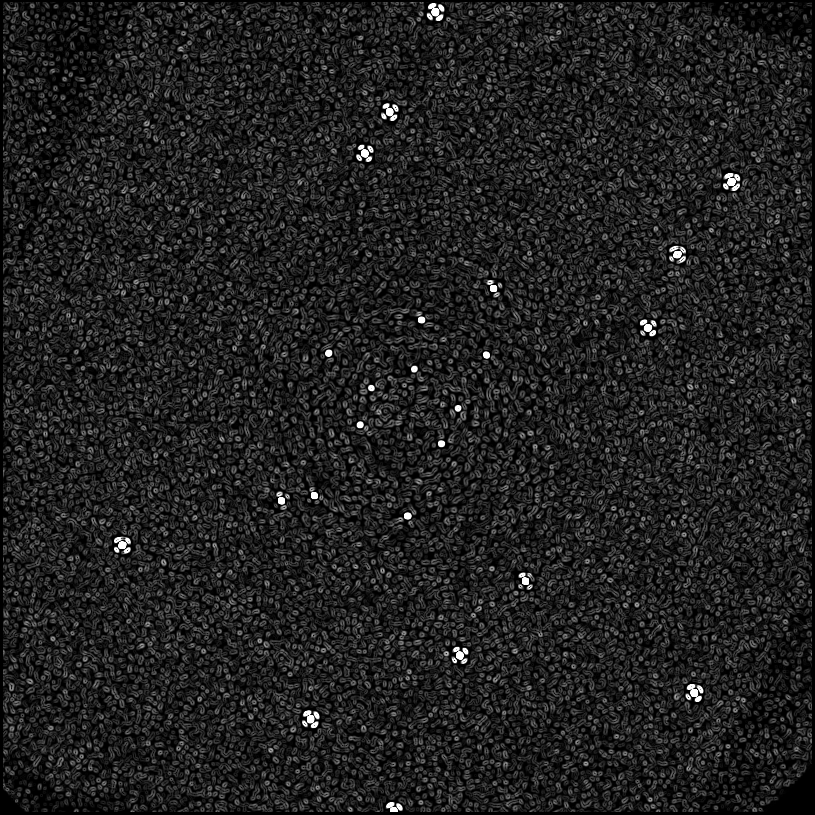../../../data/stamps/snr_learning/randomize_HIP21547_20160115_4Mjup/map_grad_l0_randomize_HIP21547_20160115_4Mjup.jpg