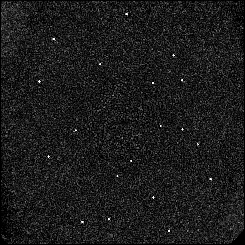 ../../../data/stamps/snr_learning/randomize_HIP21547_20161212_2Mjup/map_grad_l0_randomize_HIP21547_20161212_2Mjup.jpg