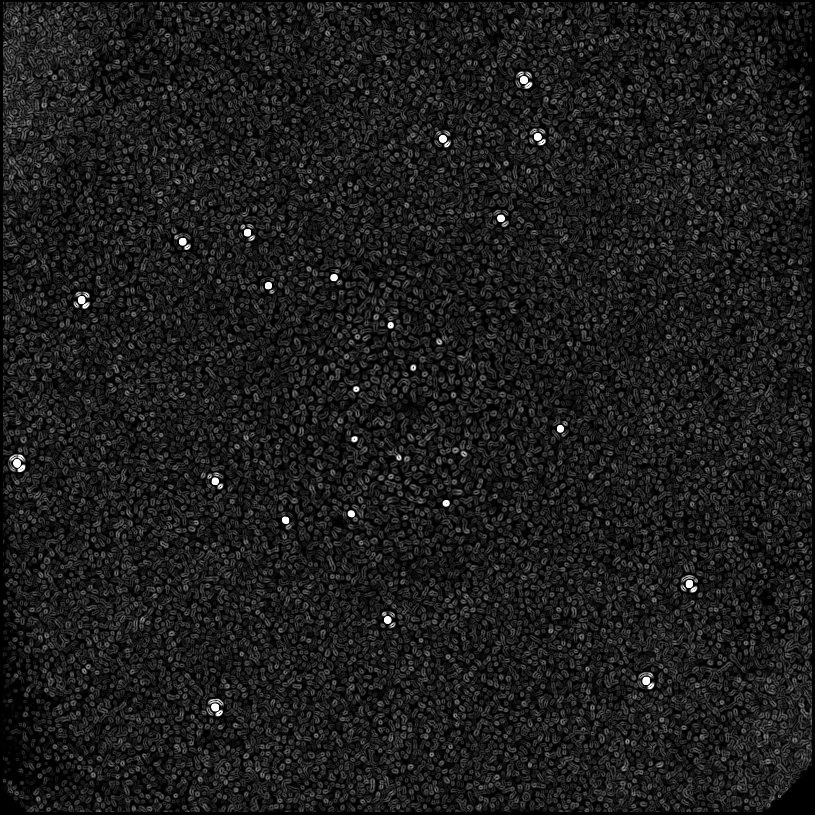 ../../../data/stamps/snr_learning/randomize_HIP21547_20161212_3Mjup/map_grad_l0_randomize_HIP21547_20161212_3Mjup.jpg