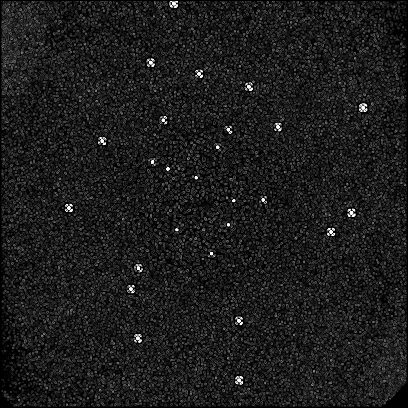 ../../../data/stamps/snr_learning/randomize_HIP21547_20161212_4Mjup/map_grad_l0_randomize_HIP21547_20161212_4Mjup.jpg