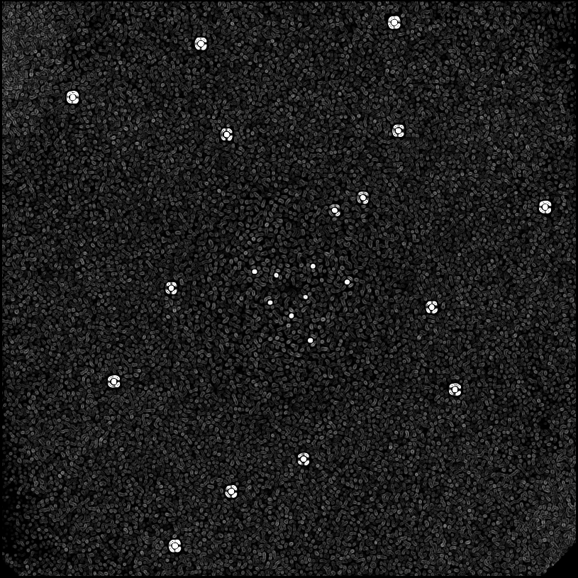 ../../../data/stamps/snr_learning/randomize_HIP21547_20161212_5Mjup/map_grad_l0_randomize_HIP21547_20161212_5Mjup.jpg